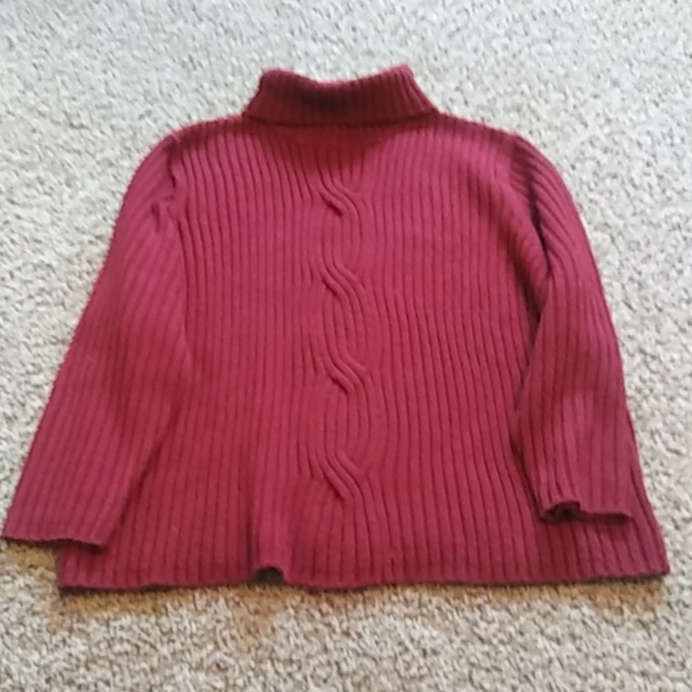 Women's plus size turtle neck sweater